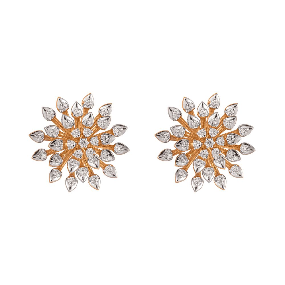 Hiraola's Product Image